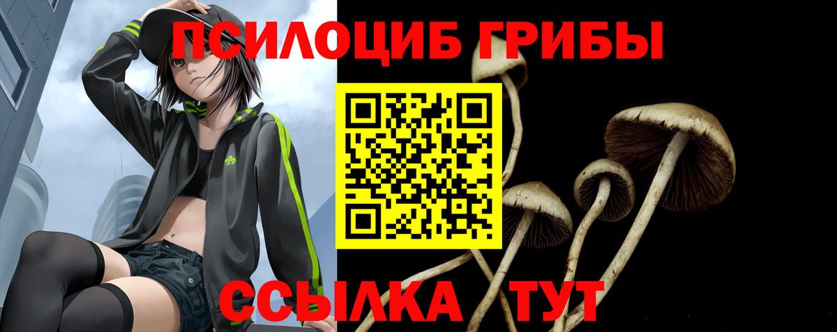 Ишимбай  Псилоцибиновые грибы Cubensis  цена   Вход с VPN 